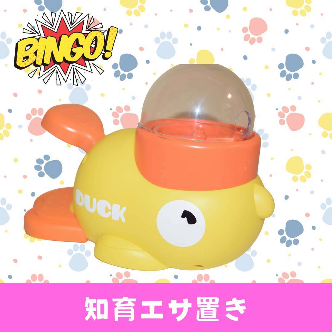 LINE_ALBUM_ネーム入り_250905_72