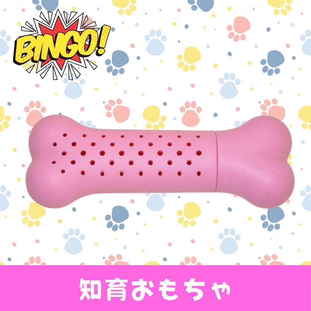 LINE_ALBUM_ネーム入り_250905_2