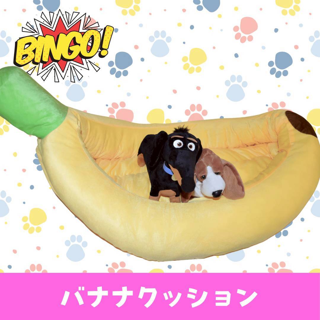 LINE_ALBUM_ネーム入り_250905_84