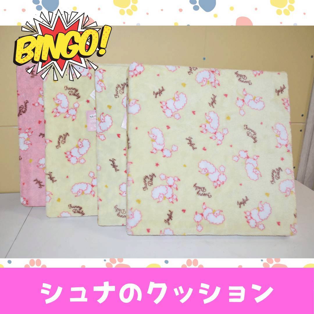 LINE_ALBUM_ネーム入り_250905_26
