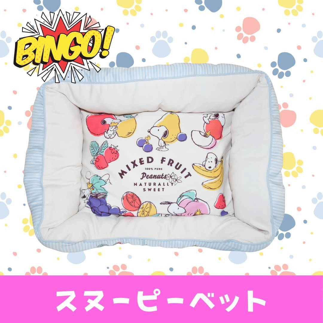LINE_ALBUM_ネーム入り_250905_28