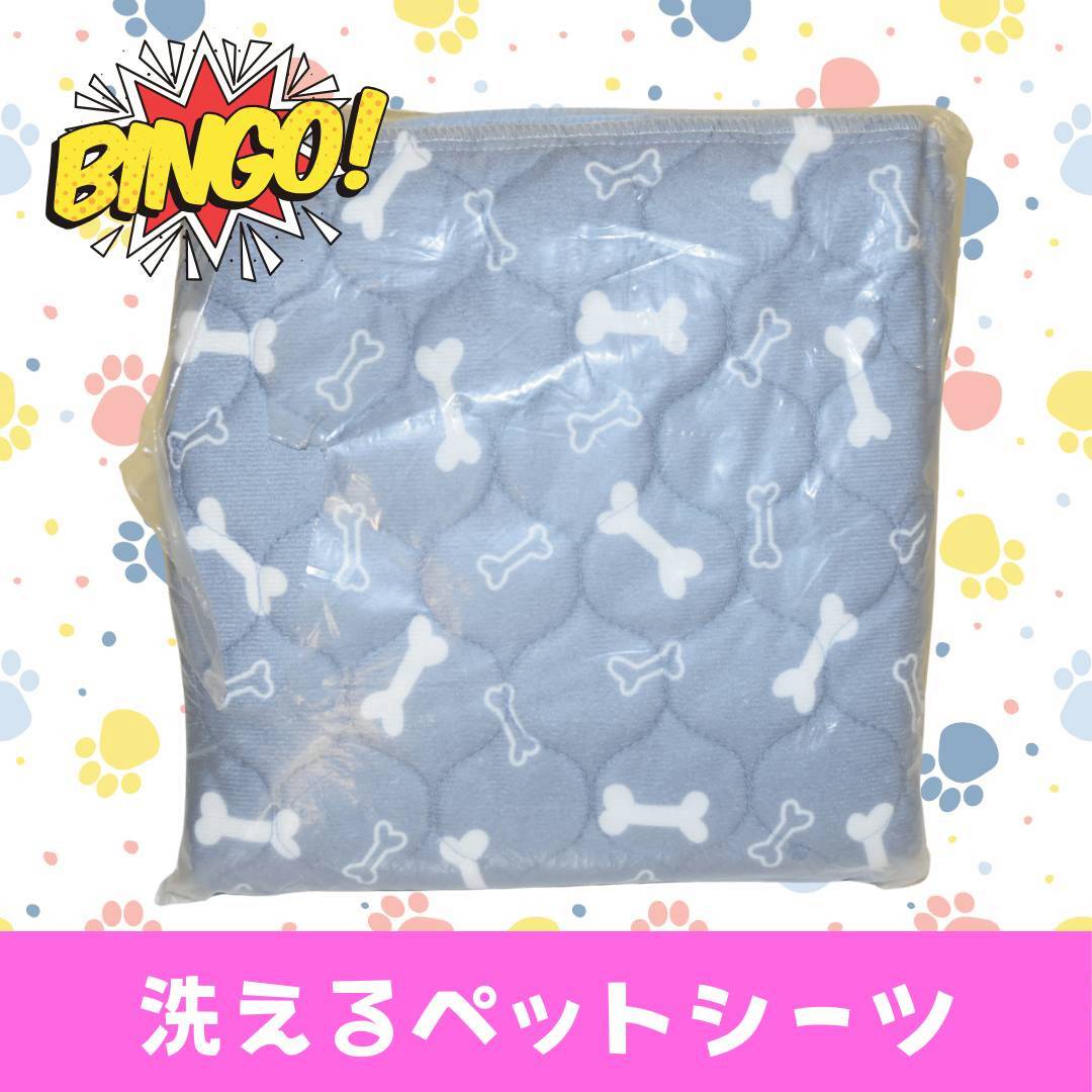 LINE_ALBUM_ネーム入り_250905_60