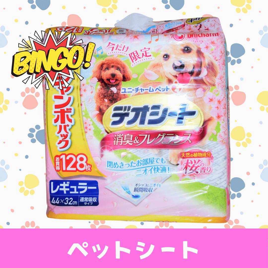 LINE_ALBUM_ネーム入り_250905_43