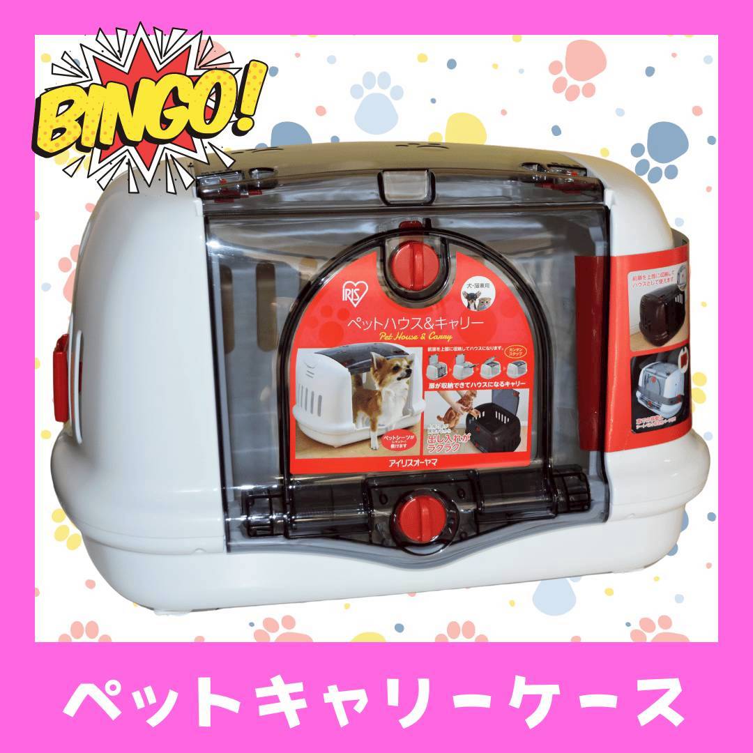 LINE_ALBUM_ネーム入り_250905_88